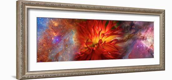 Hubble Galaxy with Red Chrysanthemums-null-Framed Photographic Print