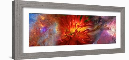 Hubble Galaxy with Red Chrysanthemums-null-Framed Photographic Print