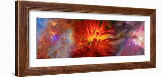 Hubble Galaxy with Red Chrysanthemums-null-Framed Photographic Print