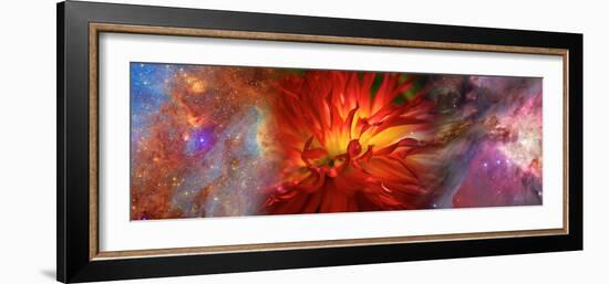 Hubble Galaxy with Red Chrysanthemums-null-Framed Photographic Print