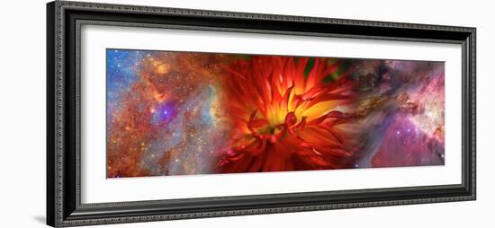 Hubble Galaxy with Red Chrysanthemums-null-Framed Photographic Print