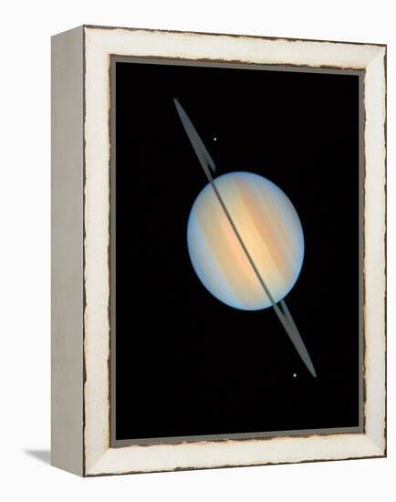 Hubble Image of Saturn-null-Framed Premier Image Canvas