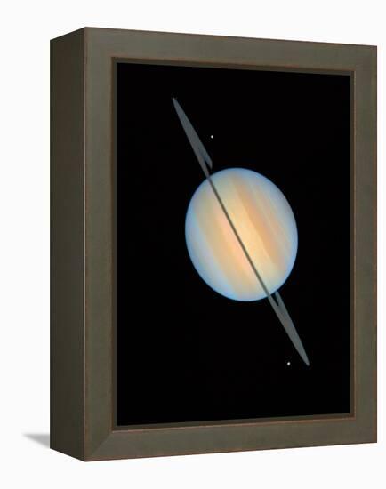 Hubble Image of Saturn-null-Framed Premier Image Canvas