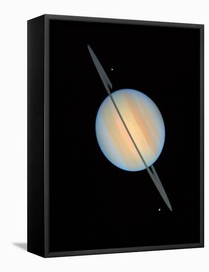 Hubble Image of Saturn-null-Framed Premier Image Canvas