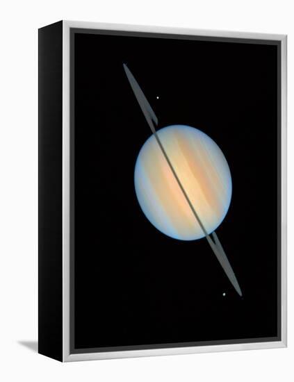 Hubble Image of Saturn-null-Framed Premier Image Canvas