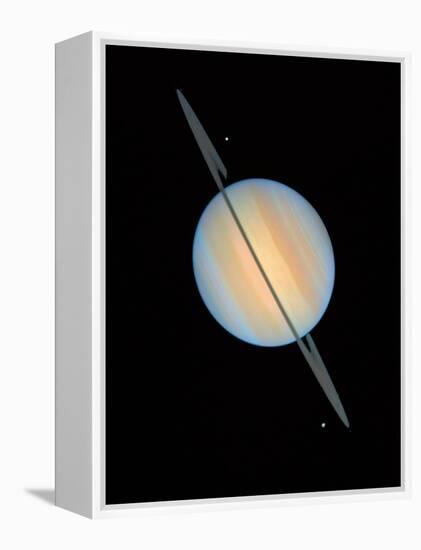 Hubble Image of Saturn-null-Framed Premier Image Canvas