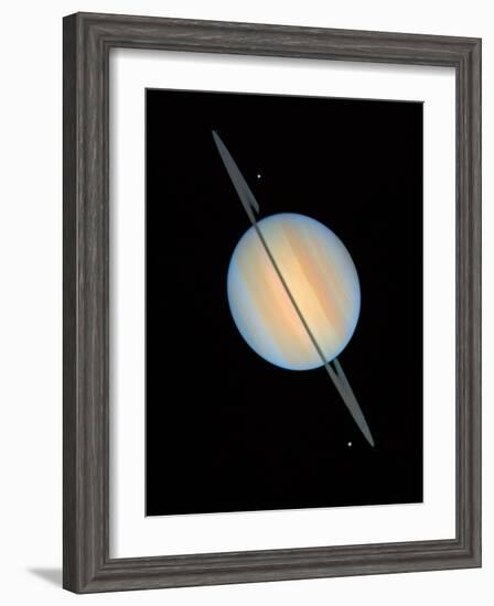 Hubble Image of Saturn--Framed Photographic Print