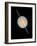 Hubble Image of Saturn-null-Framed Photographic Print