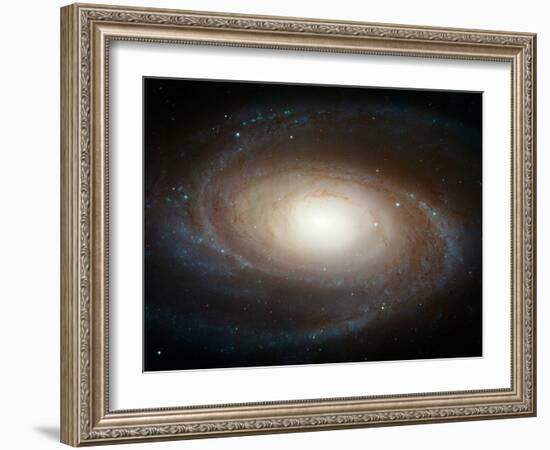 Hubble Photographs Grand Design Spiral Galaxy M81 Space Photo Art Poster Print-null-Framed Art Print