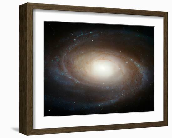 Hubble Photographs Grand Design Spiral Galaxy M81 Space Photo Art Poster Print-null-Framed Premium Giclee Print