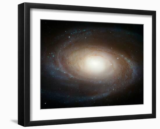 Hubble Photographs Grand Design Spiral Galaxy M81 Space Photo Art Poster Print-null-Framed Premium Giclee Print