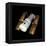 Hubble Space Telescope, Artwork-Friedrich Saurer-Framed Premier Image Canvas