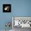 Hubble Space Telescope, Artwork-Friedrich Saurer-Framed Premier Image Canvas displayed on a wall