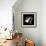Hubble Space Telescope, Artwork-Friedrich Saurer-Framed Premium Photographic Print displayed on a wall