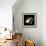 Hubble Space Telescope, Artwork-Friedrich Saurer-Framed Premium Photographic Print displayed on a wall