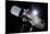 Hubble Space Telescope In Orbit, Artwork-Detlev Van Ravenswaay-Mounted Photographic Print