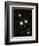 Hubble Space Telescope's 100,000th Image-null-Framed Photographic Print