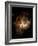 Hubble Space Telescope View of Nebula NGC 604-null-Framed Photographic Print