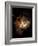 Hubble Space Telescope View of Nebula NGC 604-null-Framed Photographic Print