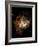 Hubble Space Telescope View of Nebula NGC 604-null-Framed Photographic Print