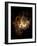 Hubble Space Telescope View of Nebula NGC 604-null-Framed Photographic Print