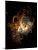 Hubble Space Telescope View of Nebula NGC 604-null-Mounted Photographic Print