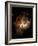 Hubble Space Telescope View of Nebula NGC 604-null-Framed Photographic Print