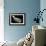 Hubble Space Telescope-null-Framed Photographic Print displayed on a wall