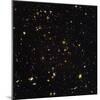 Hubble Ultra Deep Field Galaxies-null-Mounted Premium Photographic Print