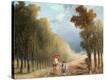 Stretched Canvas Print