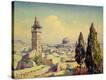 Stretched Canvas Print