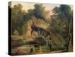 Stretched Canvas Print