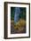 Huckleberry and mountain ash in autumn under douglas fir in Mount Rainier NP, Washington State, USA-Chuck Haney-Framed Photographic Print