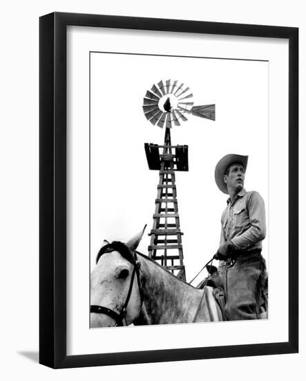 Photo, , large