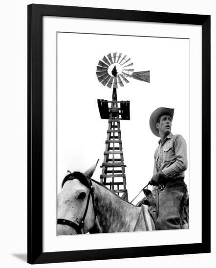 Photo, , large