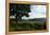 Hudson Highlands Tree Boscobell-Robert Goldwitz-Framed Premier Image Canvas