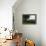 Hudson Highlands Tree Boscobell-Robert Goldwitz-Framed Premier Image Canvas displayed on a wall