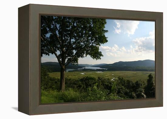 Hudson Highlands Tree Boscobell-Robert Goldwitz-Framed Premier Image Canvas