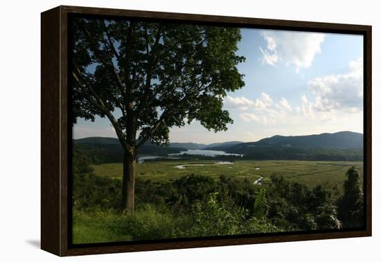Hudson Highlands Tree Boscobell-Robert Goldwitz-Framed Premier Image Canvas