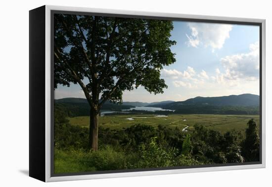 Hudson Highlands Tree Boscobell-Robert Goldwitz-Framed Premier Image Canvas