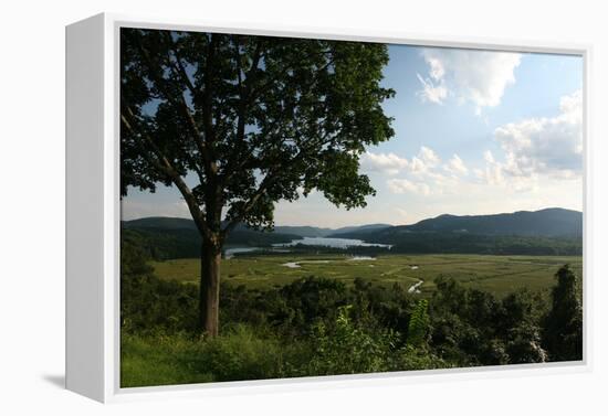 Hudson Highlands Tree Boscobell-Robert Goldwitz-Framed Premier Image Canvas