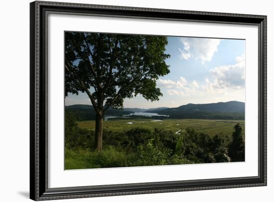 Hudson Highlands Tree Boscobell-Robert Goldwitz-Framed Photographic Print