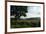 Hudson Highlands Tree Boscobell-Robert Goldwitz-Framed Photographic Print