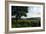 Hudson Highlands Tree Boscobell-Robert Goldwitz-Framed Photographic Print