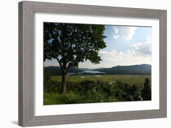 Hudson Highlands Tree Boscobell-Robert Goldwitz-Framed Photographic Print