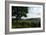 Hudson Highlands Tree Boscobell-Robert Goldwitz-Framed Photographic Print