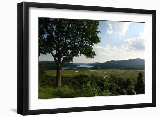 Hudson Highlands Tree Boscobell-Robert Goldwitz-Framed Photographic Print