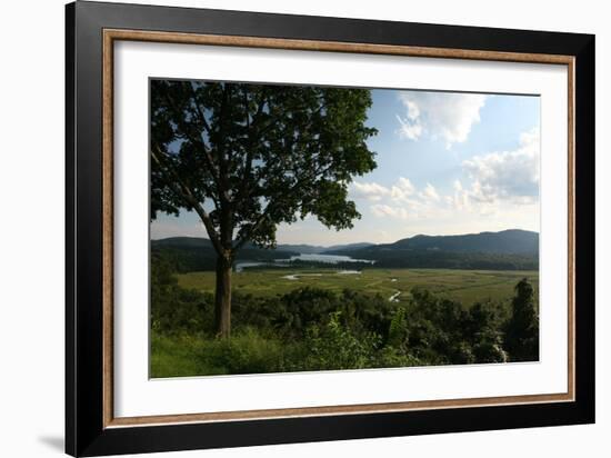 Hudson Highlands Tree Boscobell-Robert Goldwitz-Framed Photographic Print