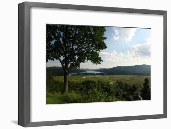 Hudson Highlands Tree Boscobell-Robert Goldwitz-Framed Photographic Print