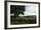 Hudson Highlands Tree Boscobell-Robert Goldwitz-Framed Photographic Print